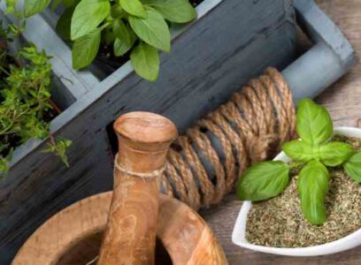Natural Herbal Remedies from the Garden Image